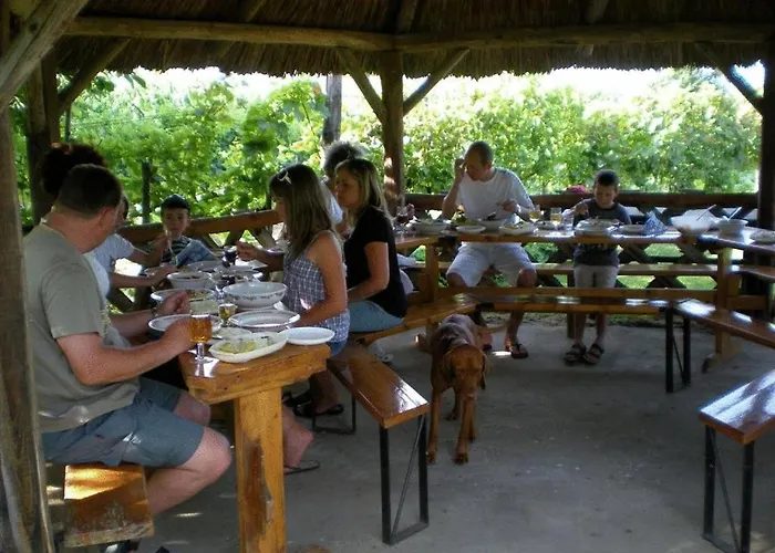 Boros Kastely Vendeghaz Vila Fonyód